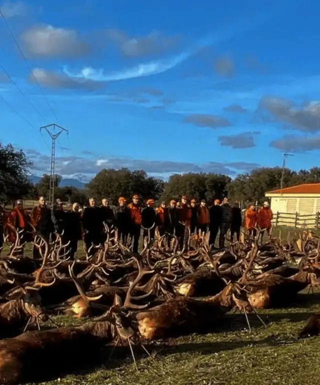 Begrænset pladser tilbage!