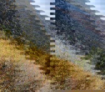 IMG 20240129 WA0067