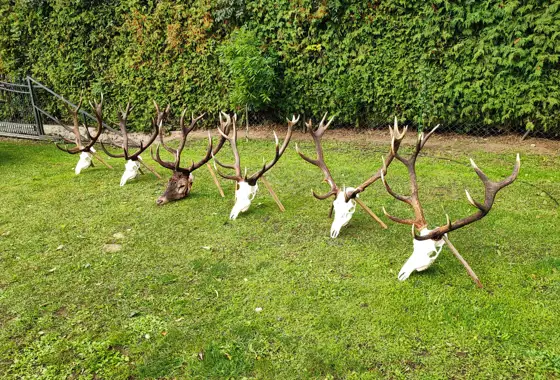 Whatsapp Image 2022 09 23 At 09.04.49