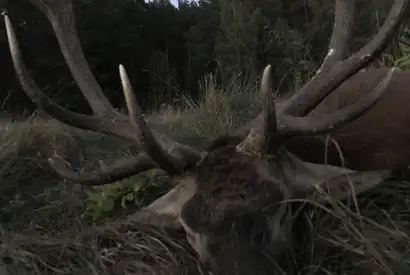 367440627 1042972547002230 422226018050140090 N