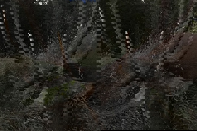 367440627 1042972547002230 422226018050140090 N