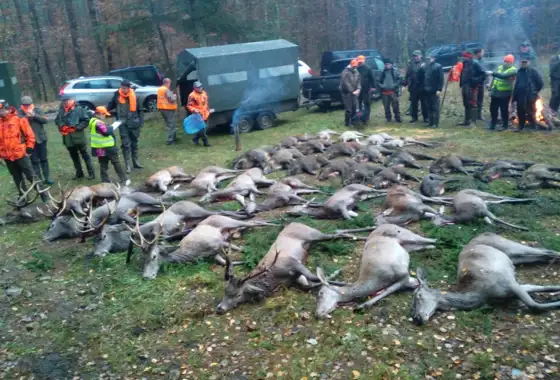 Whatsapp Image 2022 09 23 At 09.04.24