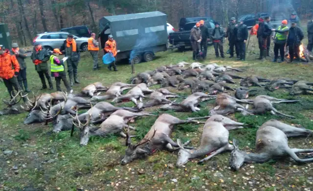 Whatsapp Image 2022 09 23 At 09.04.24