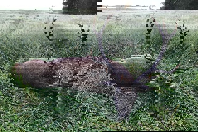 241349510 440571603915956 4827931045300855568 N