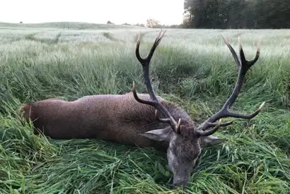 241349510 440571603915956 4827931045300855568 N