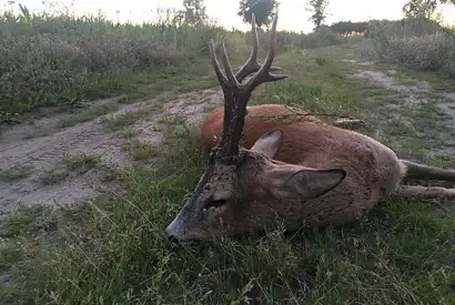 363817998 1031586354807516 2614104656055102490 N