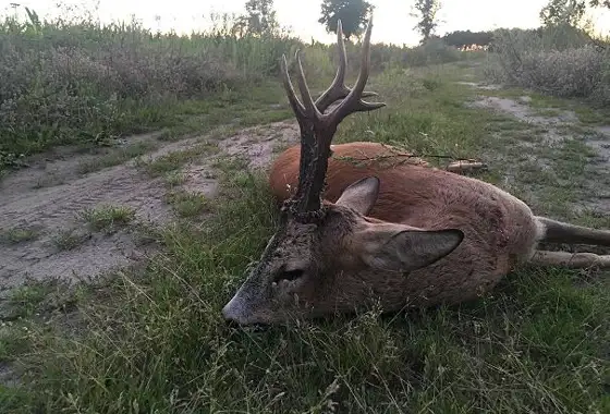 363817998 1031586354807516 2614104656055102490 N