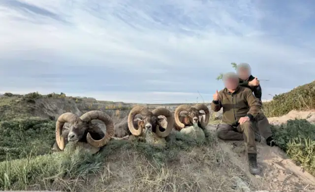 Kopi Af Hjemmeside Og PDF Format 169 (18) (1)