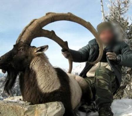 Skærmbillede 2023 12 04 162307