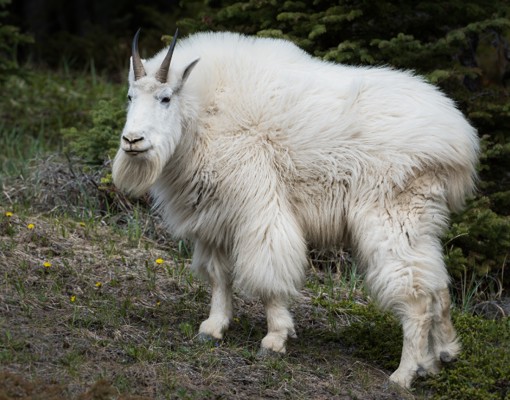 Skærmbillede 2024 07 03 114912