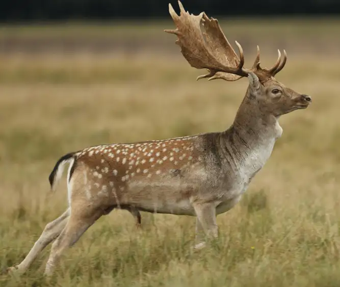 Design Uden Navn (3) Min