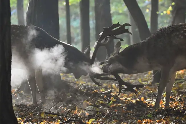 Whatsapp Image 2023 05 25 At 18.35.02