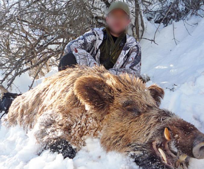 Skærmbillede 2024 10 03 132358