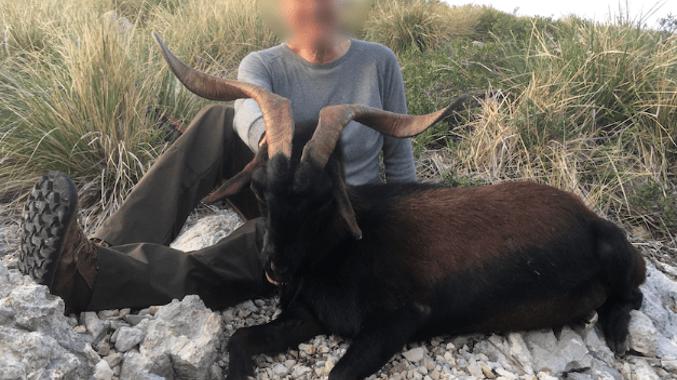 Skærmbillede 2024 12 04 125803 Min