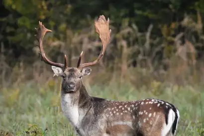 Whatsapp Image 2023 05 25 At 18.35.01 (4)