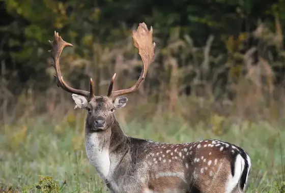 Whatsapp Image 2023 05 25 At 18.35.01 (4)