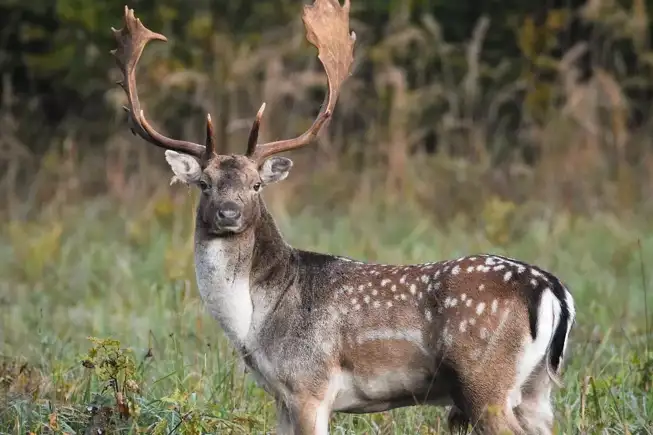 Whatsapp Image 2023 05 25 At 18.35.01 (4)