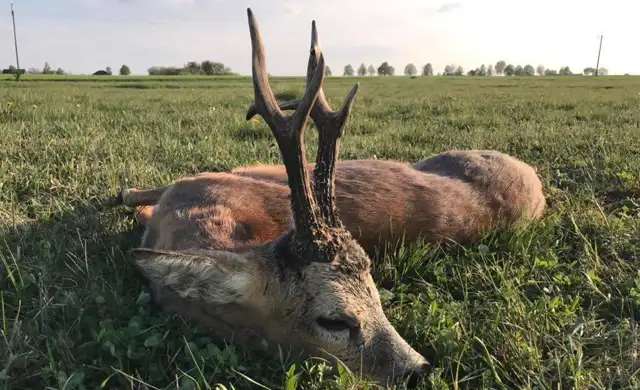 406459377 1112704513362366 8254399856805831045 N