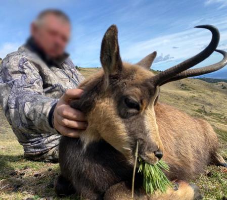 Skærmbillede 2025 01 06 105831