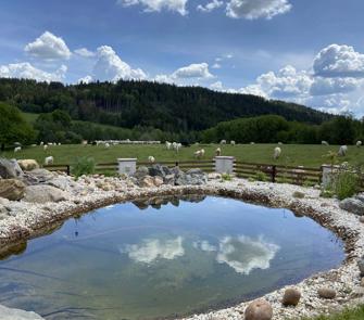 Skærmbillede 2025 02 26 090813