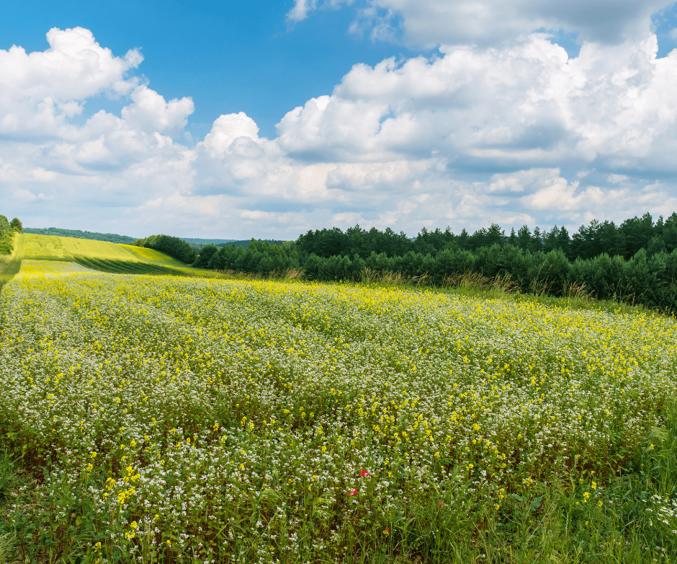 Billeder Hjemmeside (1) Min