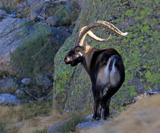 Skærmbillede 2023 07 25 111107