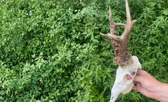 Design Uden Navn (34)