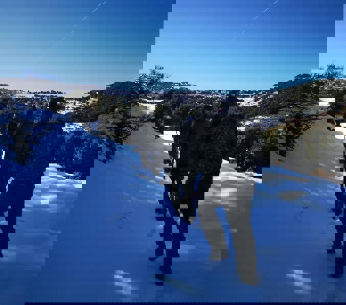 169352998 131212088961854 7931237653273655574 N