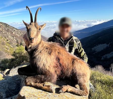 Skærmbillede 2025 01 06 105842