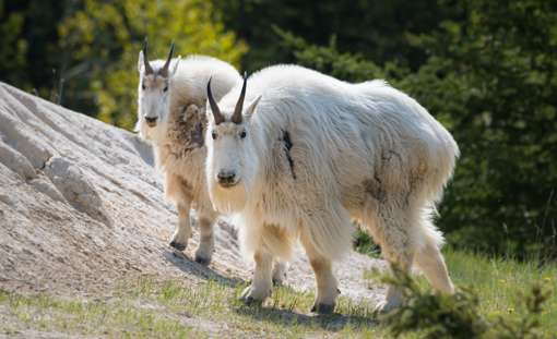 Skærmbillede 2024 07 03 113703