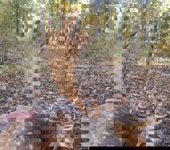 6Ec6c66d Eb95 408B A5da Fd3d60e8437c