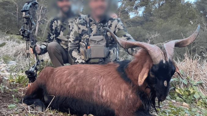 Skærmbillede 2024 12 04 125708 Min