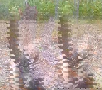 630A8e0b 6741 438A Ab9b 1417B3bb2391l