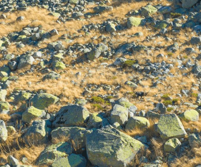 Skærmbillede 2024 10 18 124052 Min