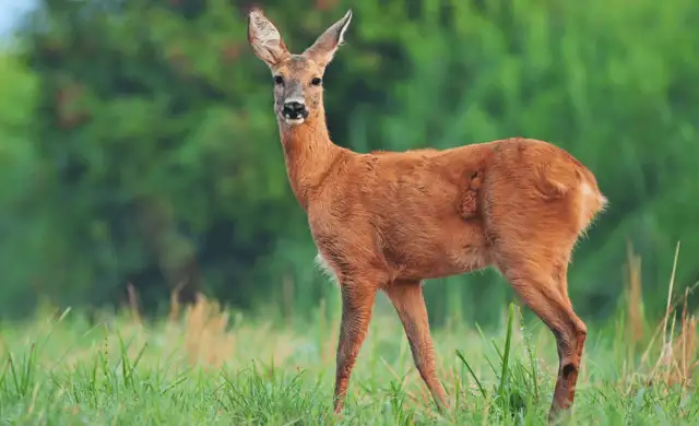 Skærmbillede 2024 10 29 143950 Min