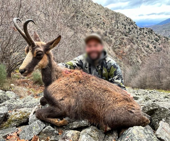 Skærmbillede 2025 01 06 105855