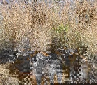 IMG 20240129 WA0072