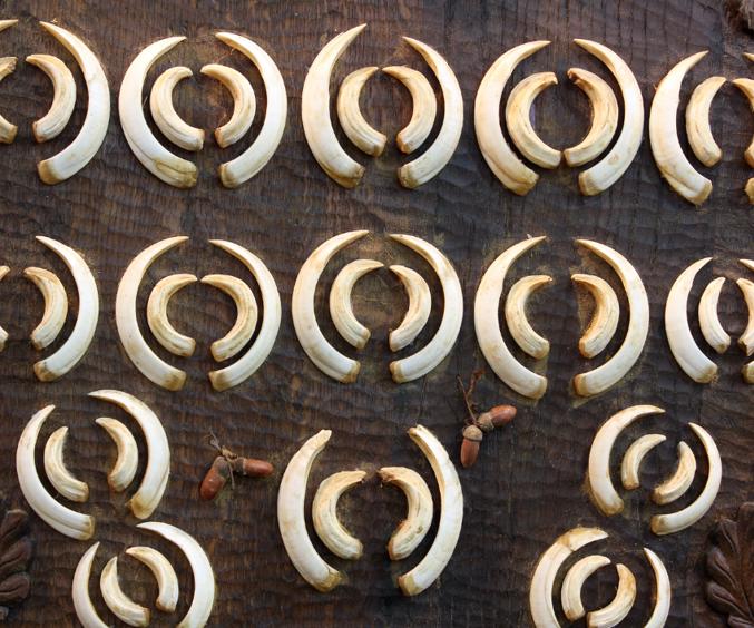 Skærmbillede 2024 05 07 151346