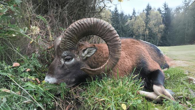 Billeder Hjemmeside (2) Min