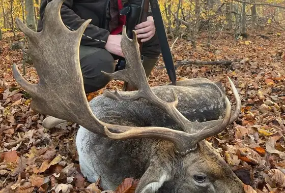 Whatsapp Image 2023 05 25 At 18.35.01 (2)