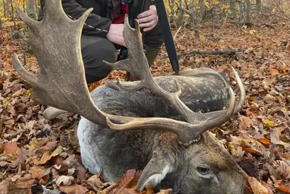 Whatsapp Image 2023 05 25 At 18.35.01 (2)