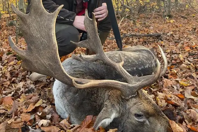 Whatsapp Image 2023 05 25 At 18.35.01 (2)