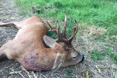 405687035 1112704376695713 8704553381343756721 N