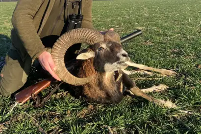 Skærmbillede 2023 05 30 151931