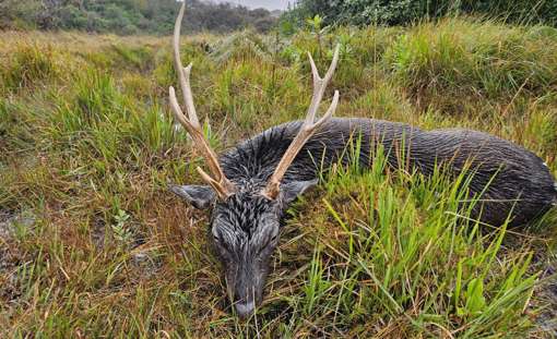 Skærmbillede 2024 10 09 115116 Min
