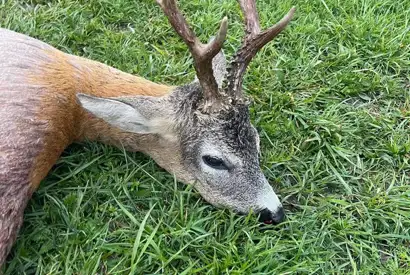 375029816 1056088659023952 4634399798431416210 N