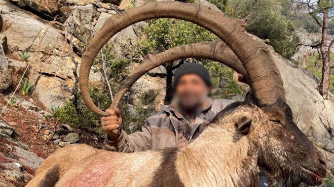 Skærmbillede 2023 12 04 162508