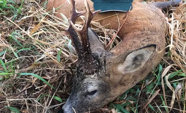 5218Df5b 2395 4A97 B098 8B9c4748407d