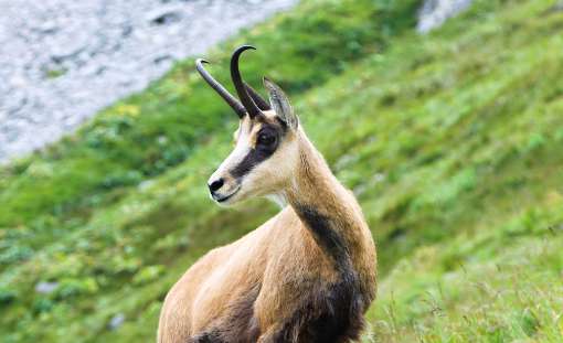 Skærmbillede 2024 05 07 163247