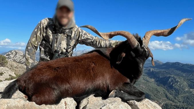 Skærmbillede 2024 12 04 125557 Min